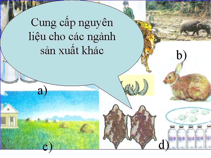 Cung cấp nguyên liệu cho các ngành sản xuất khác b) a) c) d)