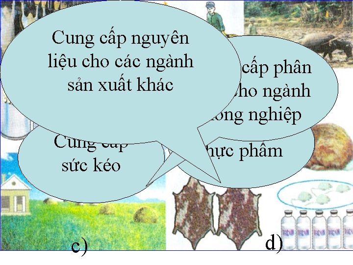 Cung cấp nguyên liệu cho các ngành. Cung cấp phân sản xuất khác bón Cung cấp nguyên liệu cho các ngành. Cung cấp phân sản xuất khác bón