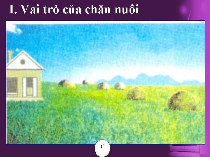 I. Vai trò của chăn nuôi c 