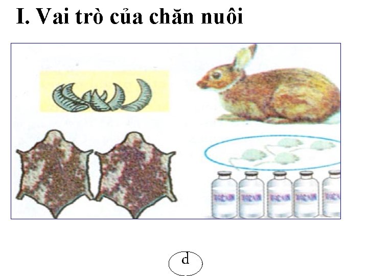 I. Vai trò của chăn nuôi d 