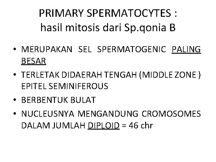 PRIMARY SPERMATOCYTES : hasil mitosis dari Sp. qonia B • MERUPAKAN SEL SPERMATOGENIC PALING