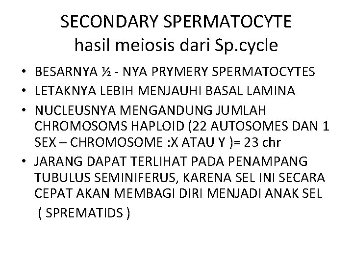 SECONDARY SPERMATOCYTE hasil meiosis dari Sp. cycle • BESARNYA ½ - NYA PRYMERY SPERMATOCYTES