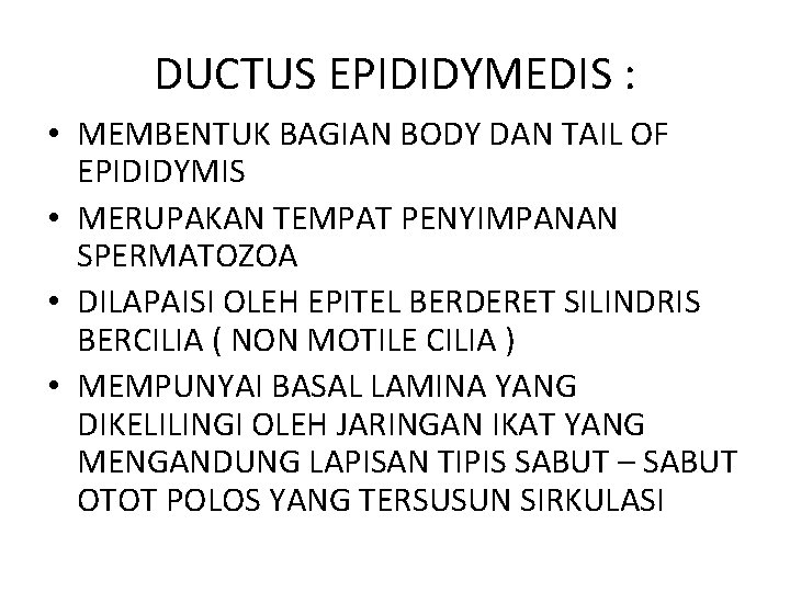 DUCTUS EPIDIDYMEDIS : • MEMBENTUK BAGIAN BODY DAN TAIL OF EPIDIDYMIS • MERUPAKAN TEMPAT
