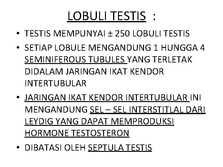 LOBULI TESTIS : • TESTIS MEMPUNYAI ± 250 LOBULI TESTIS • SETIAP LOBULE MENGANDUNG