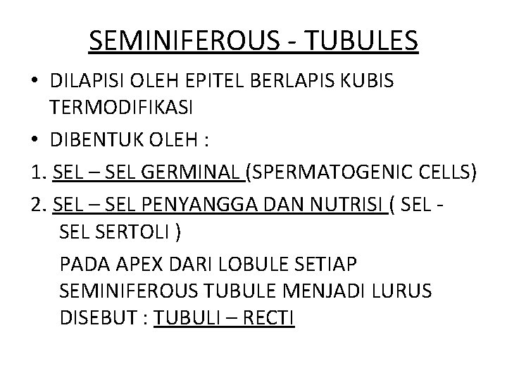 SEMINIFEROUS - TUBULES • DILAPISI OLEH EPITEL BERLAPIS KUBIS TERMODIFIKASI • DIBENTUK OLEH :
