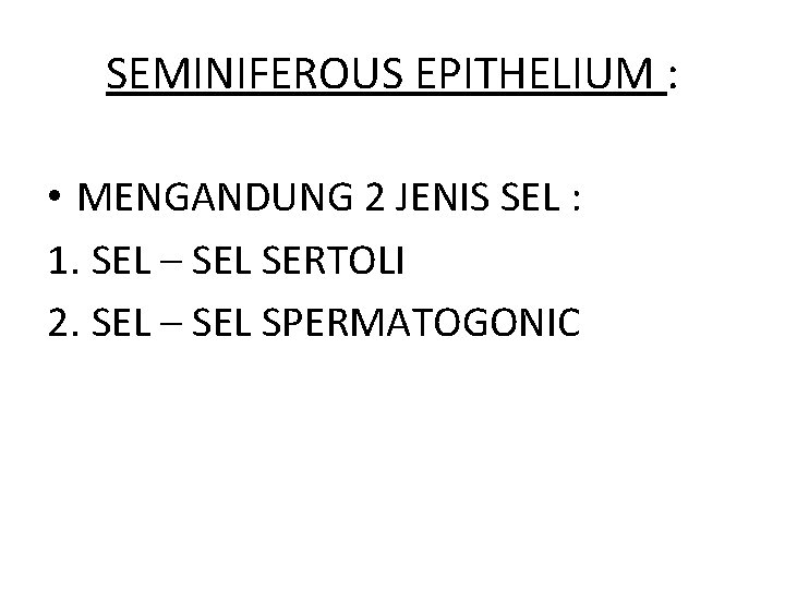 SEMINIFEROUS EPITHELIUM : • MENGANDUNG 2 JENIS SEL : 1. SEL – SEL SERTOLI