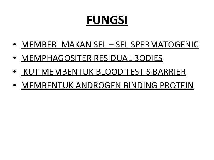 FUNGSI • • MEMBERI MAKAN SEL – SEL SPERMATOGENIC MEMPHAGOSITER RESIDUAL BODIES IKUT MEMBENTUK