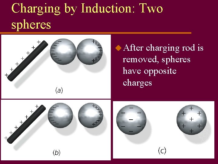 Charging by Induction: Two spheres u After charging rod is removed, spheres have opposite