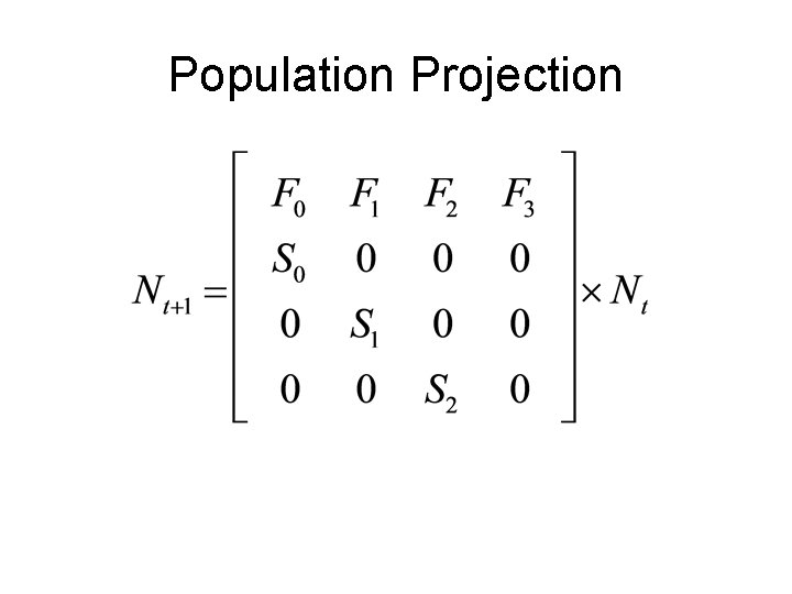 Population Projection 