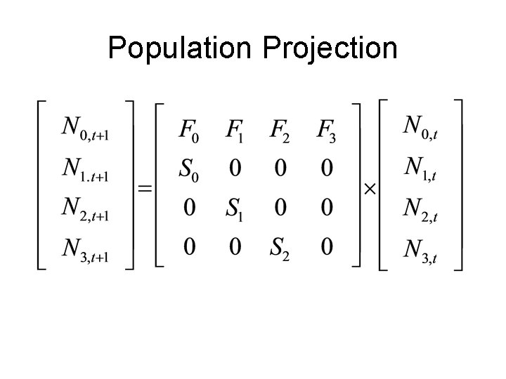 Population Projection 