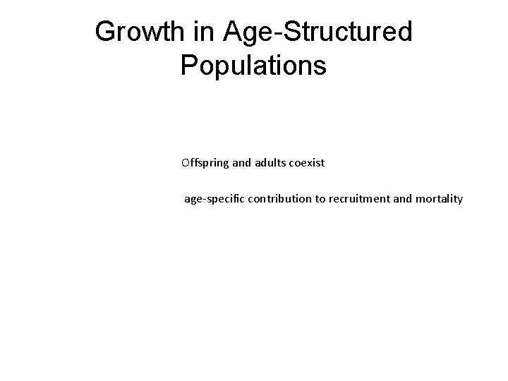 Growth in Age-Structured Populations Offspring and adults coexist age-specific contribution to recruitment and mortality