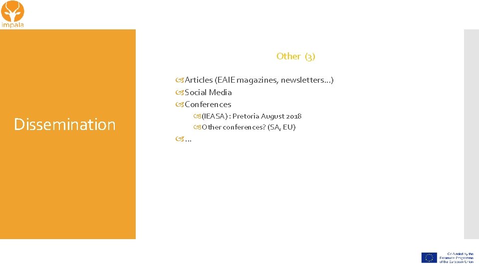 Other (3) Articles (EAIE magazines, newsletters…) Social Media Conferences Dissemination (IEASA) : Pretoria August