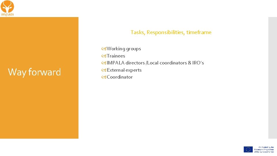 Tasks, Responsibilities, timeframe Way forward Working groups Trainees IMPALA directors /Local coordinators & IRO’s