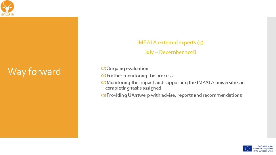 IMPALA external experts (5) July – December 2018 Way forward Ongoing evaluation Further monitoring