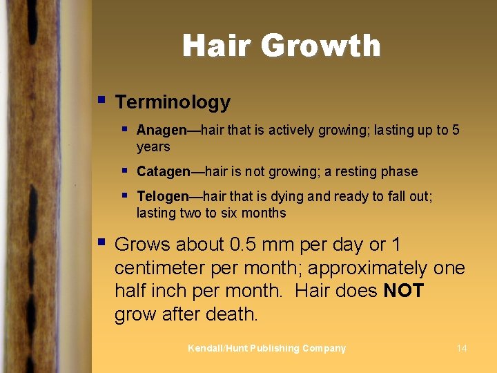 Hair Growth § § Terminology § Anagen—hair that is actively growing; lasting up to