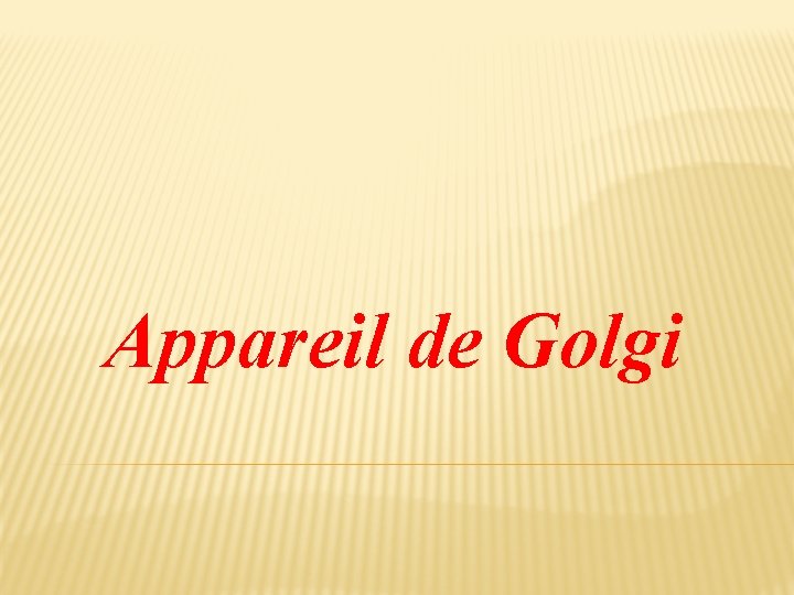 Appareil de Golgi 