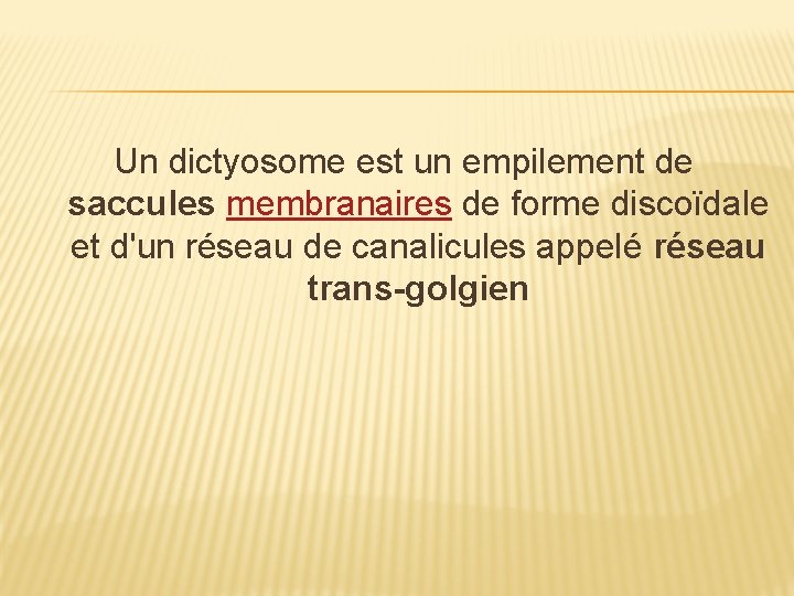 Un dictyosome est un empilement de saccules membranaires de forme discoïdale et d'un réseau