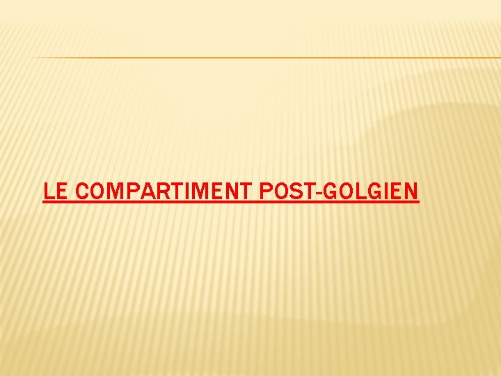 LE COMPARTIMENT POST-GOLGIEN 