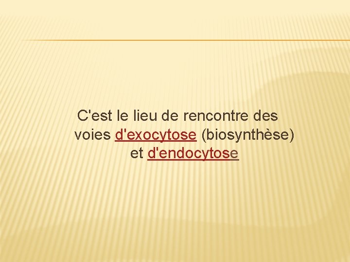 C'est le lieu de rencontre des voies d'exocytose (biosynthèse) et d'endocytose 