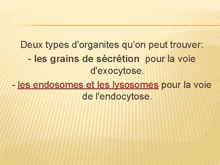 Deux types d'organites qu’on peut trouver: - les grains de sécrétion pour la voie