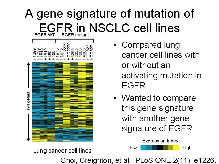 A gene signature of mutation of EGFR in NSCLC cell lines • Compared lung