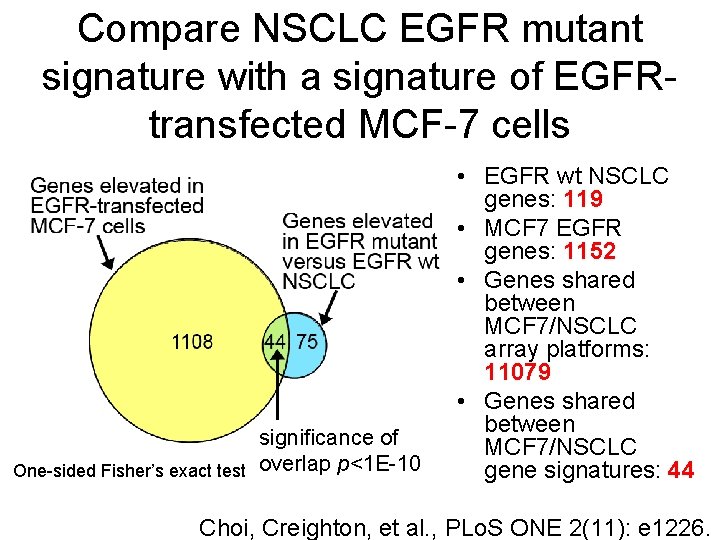 Compare NSCLC EGFR mutant signature with a signature of EGFRtransfected MCF-7 cells significance of