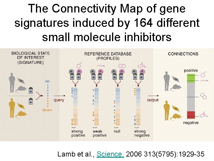 The Connectivity Map of gene signatures induced by 164 different small molecule inhibitors Lamb