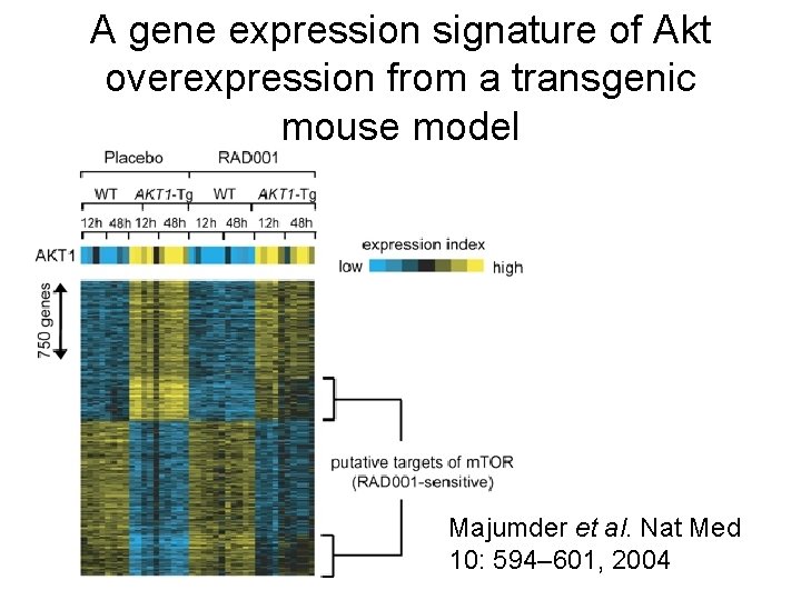 A gene expression signature of Akt overexpression from a transgenic mouse model Majumder et