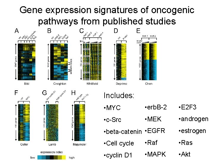 Gene expression signatures of oncogenic pathways from published studies Includes: • MYC • erb.