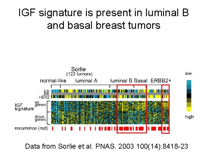 IGF signature is present in luminal B and basal breast tumors Data from Sorlie