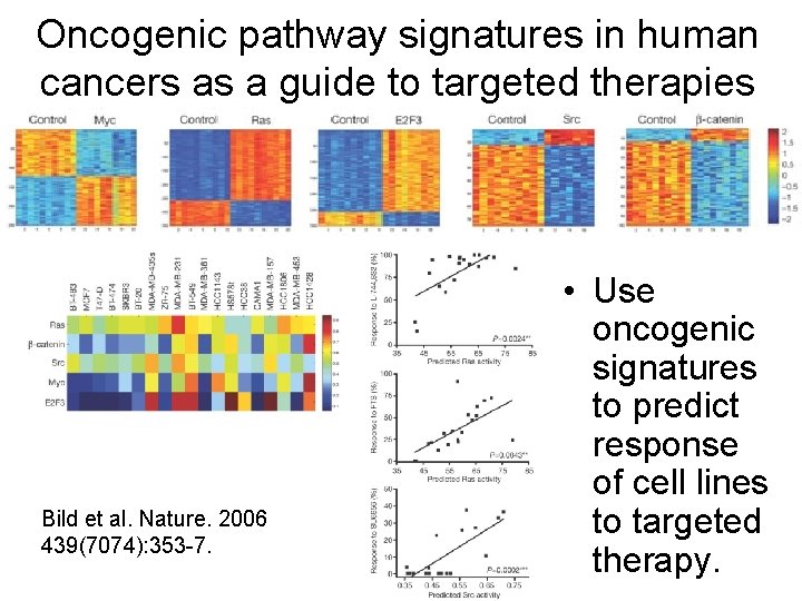 Oncogenic pathway signatures in human cancers as a guide to targeted therapies Bild et