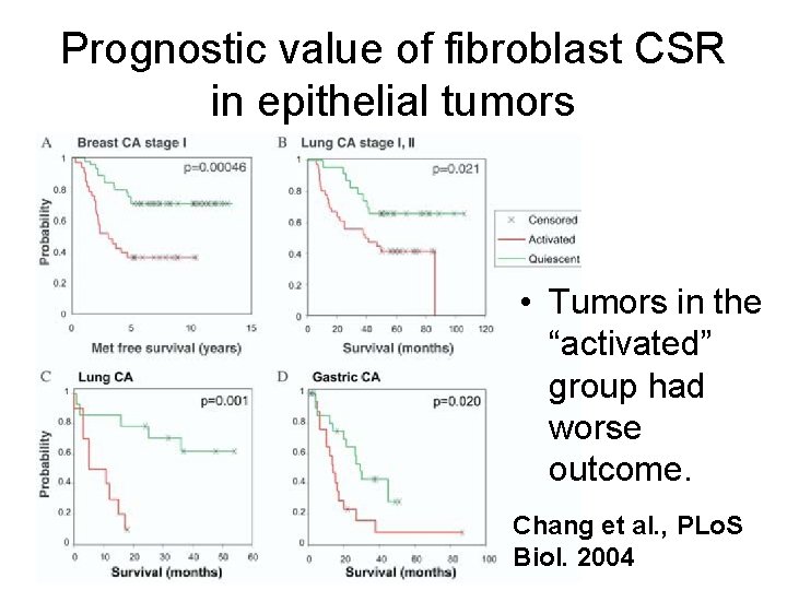 Prognostic value of fibroblast CSR in epithelial tumors • Tumors in the “activated” group