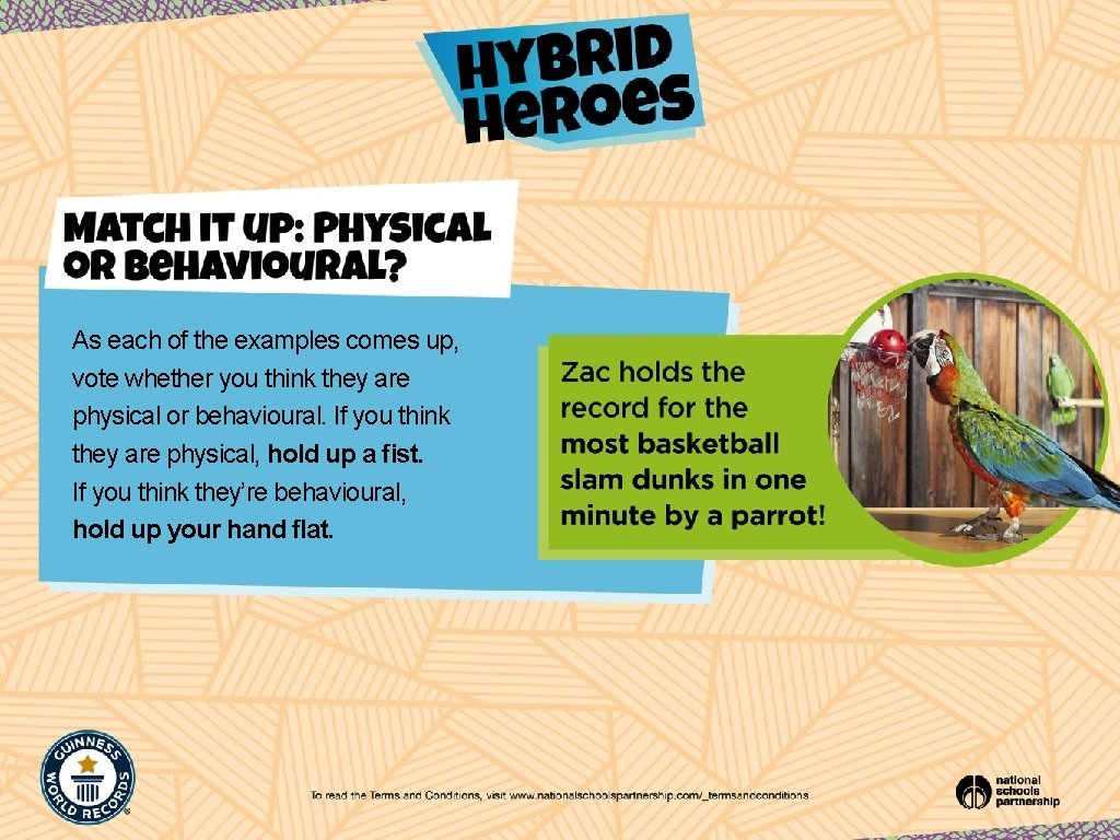 As each of the examples comes up, vote whether you think they are physical