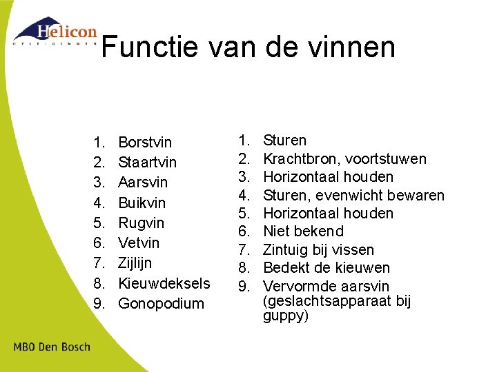 Functie van de vinnen 1. 2. 3. 4. 5. 6. 7. 8. 9. Borstvin