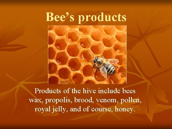 Bee’s products Products of the hive include bees wax, propolis, brood, venom, pollen, royal