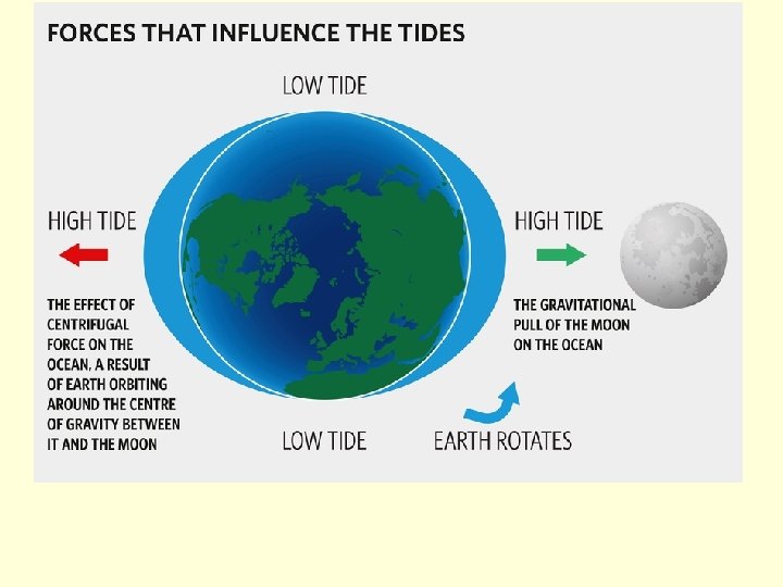 Tides Tides