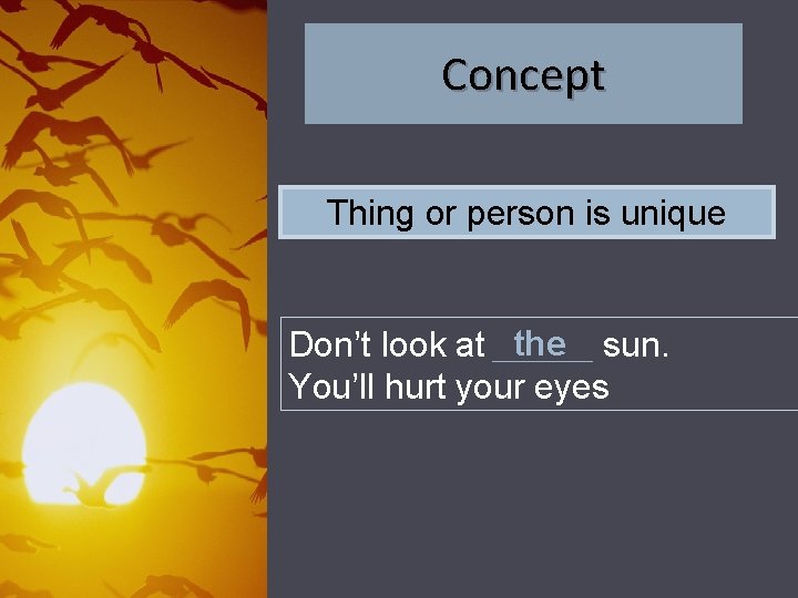 Concept Thing or person is unique Don’t look at the sun. You’ll hurt your