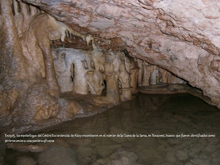En 1965, los espeleólogos del Centro Excursionista de Alcoy encontraron en el interior de