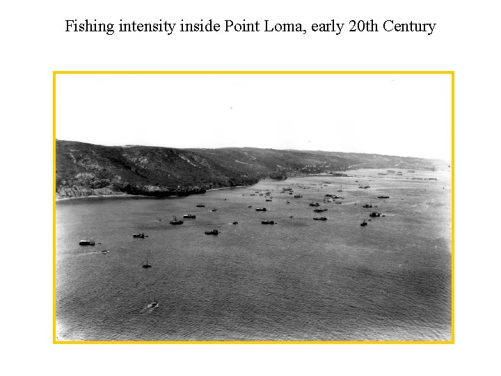 Fishing intensity inside Point Loma, early 20 th Century 
