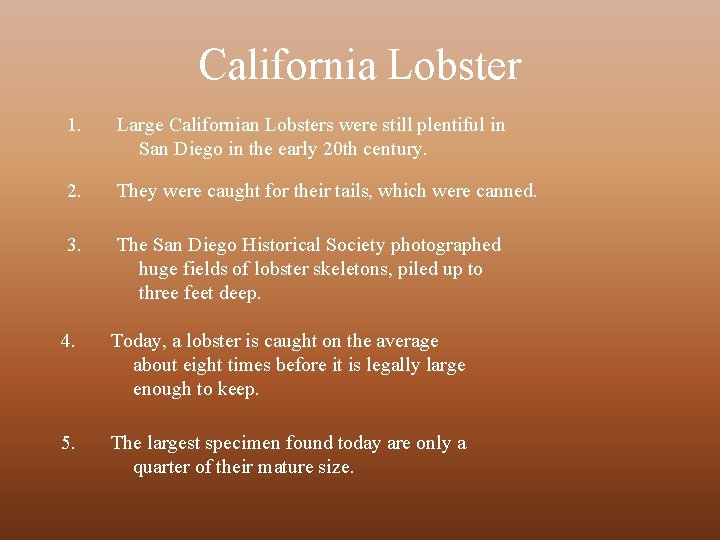 California Lobster 1. Large Californian Lobsters were still plentiful in San Diego in the