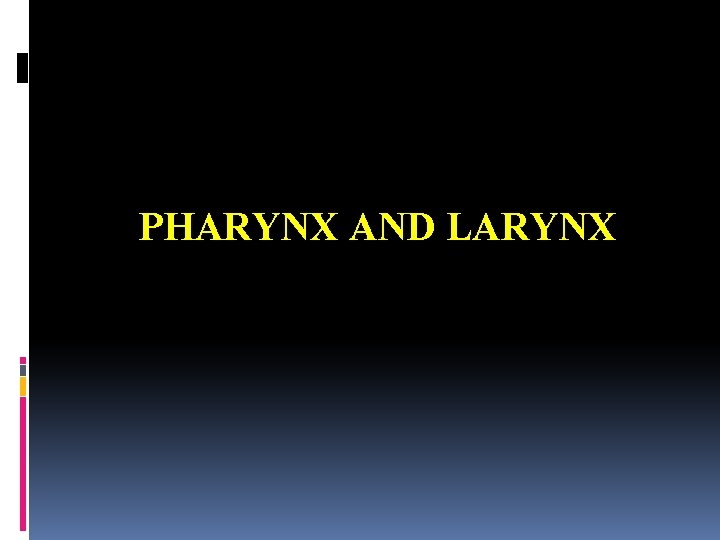 PHARYNX AND LARYNX 