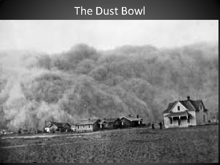 The Dust Bowl 