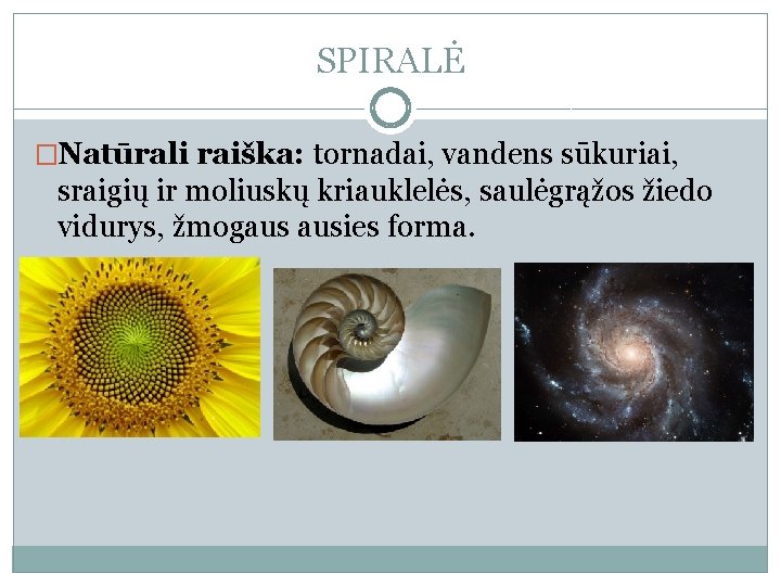 SPIRALĖ �Natūrali raiška: tornadai, vandens sūkuriai, sraigių ir moliuskų kriauklelės, saulėgrąžos žiedo vidurys, žmogaus
