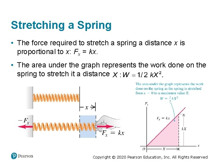 Stretching a Spring • The force required to stretch a spring a distance x