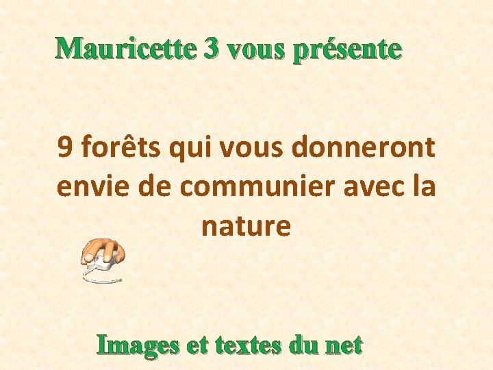 Mauricette 3 vous présente 9 forêts qui vous donneront envie de communier avec la
