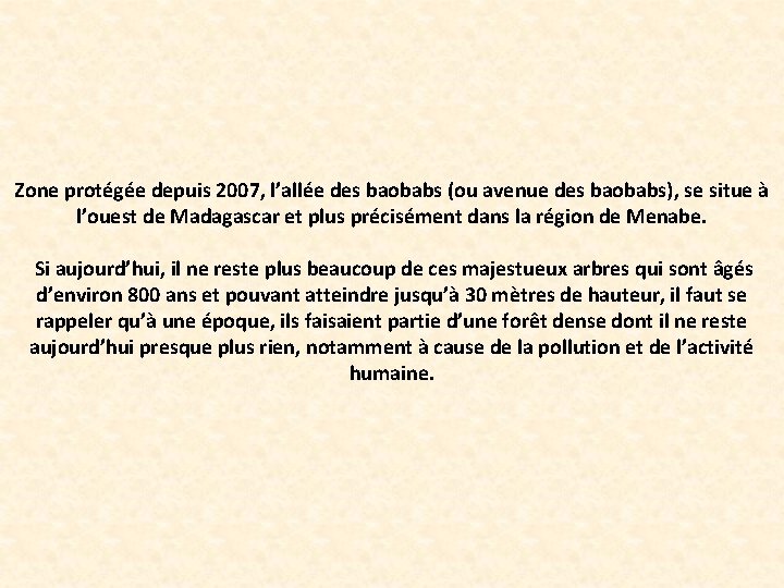 Zone protégée depuis 2007, l’allée des baobabs (ou avenue des baobabs), se situe à