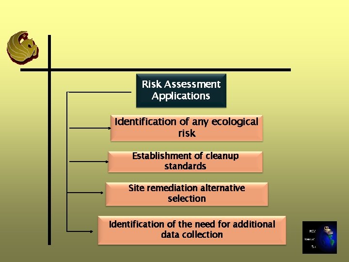 Risk Assessment Applications Identification of any ecological risk Establishment of cleanup standards Site remediation