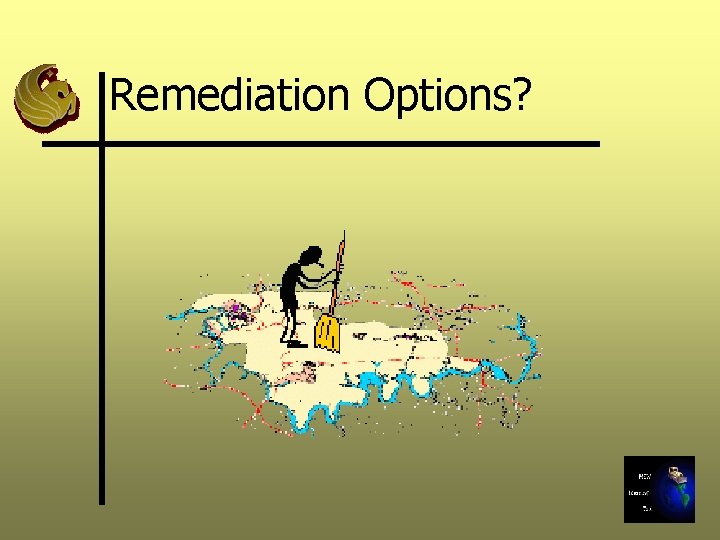 Remediation Options? 