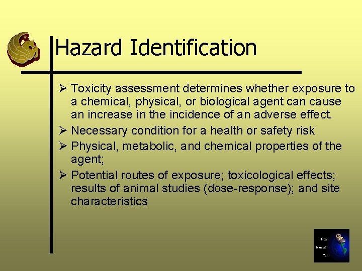 Hazard Identification Ø Toxicity assessment determines whether exposure to a chemical, physical, or biological