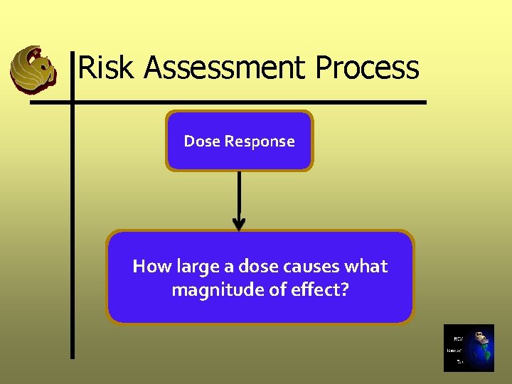 Risk Assessment Process Dose Response How large a dose causes what magnitude of effect?